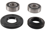 Pivot Works Front Wheel Bearing & Seal Kit (PWFWK-H18-021)
