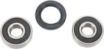 Pivot Works Front Wheel Bearing & Seal Kit (PWFWK-H19-001)