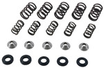 Hot Cams Valve Spring Kit (SKYFM660S2)