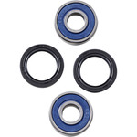All Balls Front Wheel Bearing Kit (25-1736)
