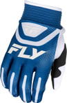 Fly Racing F-16 25 Mens MX Offroad Gloves