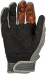 Fly Racing F-16 25 Mens MX Offroad Gloves