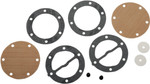 Vertex Fuel Pump Repair Kit | Mikuni (451453)