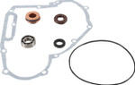 Vertex Polaris Water Pump Repair Kit (821891)