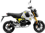 Leo Vince LV-10 Black Stainless Steel Low Mount Exhaust System (15252BU)