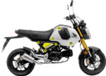 Leo Vince LV-10 Stainless Steel Low Mount Exhaust System (15252U)