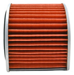 Emgo Air Filter (12-43940)