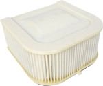 Emgo Air Filter (12-94470)