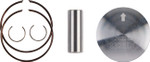 Wossner 46.97mm Dual Ring Piston Kit (8328DC)