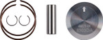 Wossner 53.93mm Dual Ring Piston Kit (8303DA)