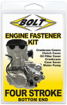 Bolt ATV Engine Fastener Kit (E-TRX4-0405)