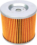 Emgo Oil Filter (10-29800)
