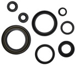 Cometic Crankshaft Oil Seal Kit (C3139OS)