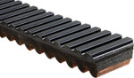 Gates G-Force C12 Drive Belt (45C4553)