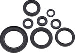 Moose Complete Engine Oil Seal Kit (0935-1057)