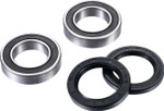 Factory Links Rear Axle Bearing Kit (ARA-Y-011)