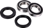 Factory Links Front/Rear Axle Bearing Kit (ARA-P-012)