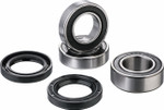 Factory Links Rear Wheel Bearing Kit (RWK-Q-011)