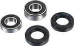 Factory Links Rear Wheel Bearing Kit (RWK-Y-164)