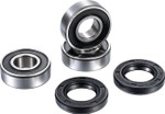 Factory Links Rear Wheel Bearing Kit (RWK-K-119)