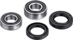 Factory Links Rear Wheel Bearing Kit (RWK-H-200)