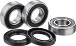 Factory Links Rear Wheel Bearing Kit (RWK-K-117)