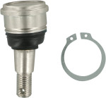 EPI Front Upper/Lower Standard Ball Joint (WE351035)