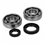 QuadBoss Differential Bearing & Seal Kit (413386)