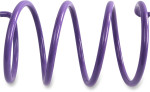 EPI Purple Secondary Clutch Spring (ACSS-5)