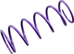 EPI Purple Primary Clutch Spring (PATV4)