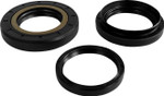 EPI Rear Differential Seal Kit (WE290119)
