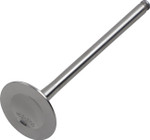 Del West Titanium Exhaust Valve (DW-RMZ250-EV04)