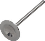 Del West Titanium Exhaust Valve (DW-TRX450R2EV11)
