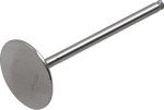 Del West Titanium Intake Valve (DW-KX250FIV09ND)