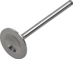 Del West Titanium Exhaust Valve (DWTRX450R1EV04)