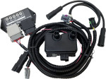 Daytona Twin TC88 Ignition with Wire Harness and Coil (30081)