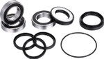 Factory Links Rear Wheel Bearing Kit (ARA-H-016)