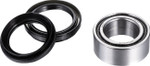 Factory Links Rear Left/Right Wheel Bearing Kit (ARA-H-022)