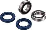 Factory Links Front Wheel Bearing Kit (FWK-Y-031)
