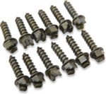 Gold Screws 3/4" Ice Screws (250 Pack) (1250-0305)