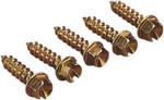 Gold Screws 5/8" Gold Ice Screws (1000 Pack) (1250-0058)