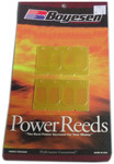 Boyesen Dual Stage Power Reeds (025)