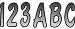 Hardline 3" Series 200 Silver/Black Registration Lettering Kit (SIBKG200)