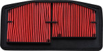 HiFlo OE Replacement Air Filter (HFA6506)