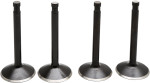 Kibblewhite Black Diamond Engine Valve Kit (20-22500)