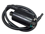 Bronco Ignition Coil (AT-01343)