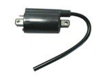 Bronco Ignition Coil (AT-01900)
