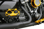 Arlen Ness Diamond Gold Passenger Floorboards (410-061)