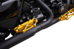 Arlen Ness Diamond Gold Passenger Floorboards (410-061)