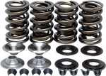 Kibblewhite Racing Valve Spring Kit (20-20060)